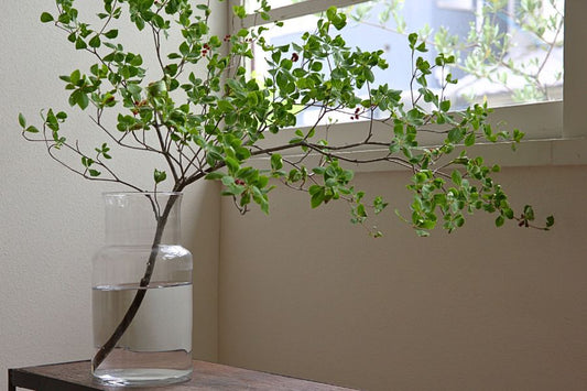 「ネック」と季節の花と暮らす日々