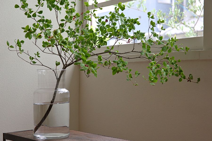 「ネック」と季節の花と暮らす日々