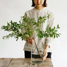 リューズガラス フラワーベース ネック