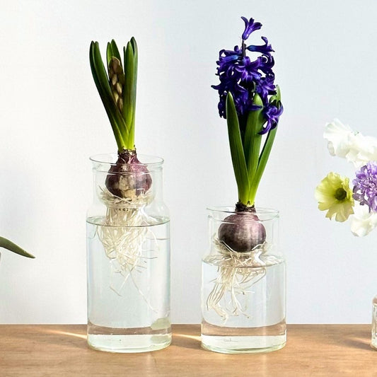 リューズガラス バルブボトル