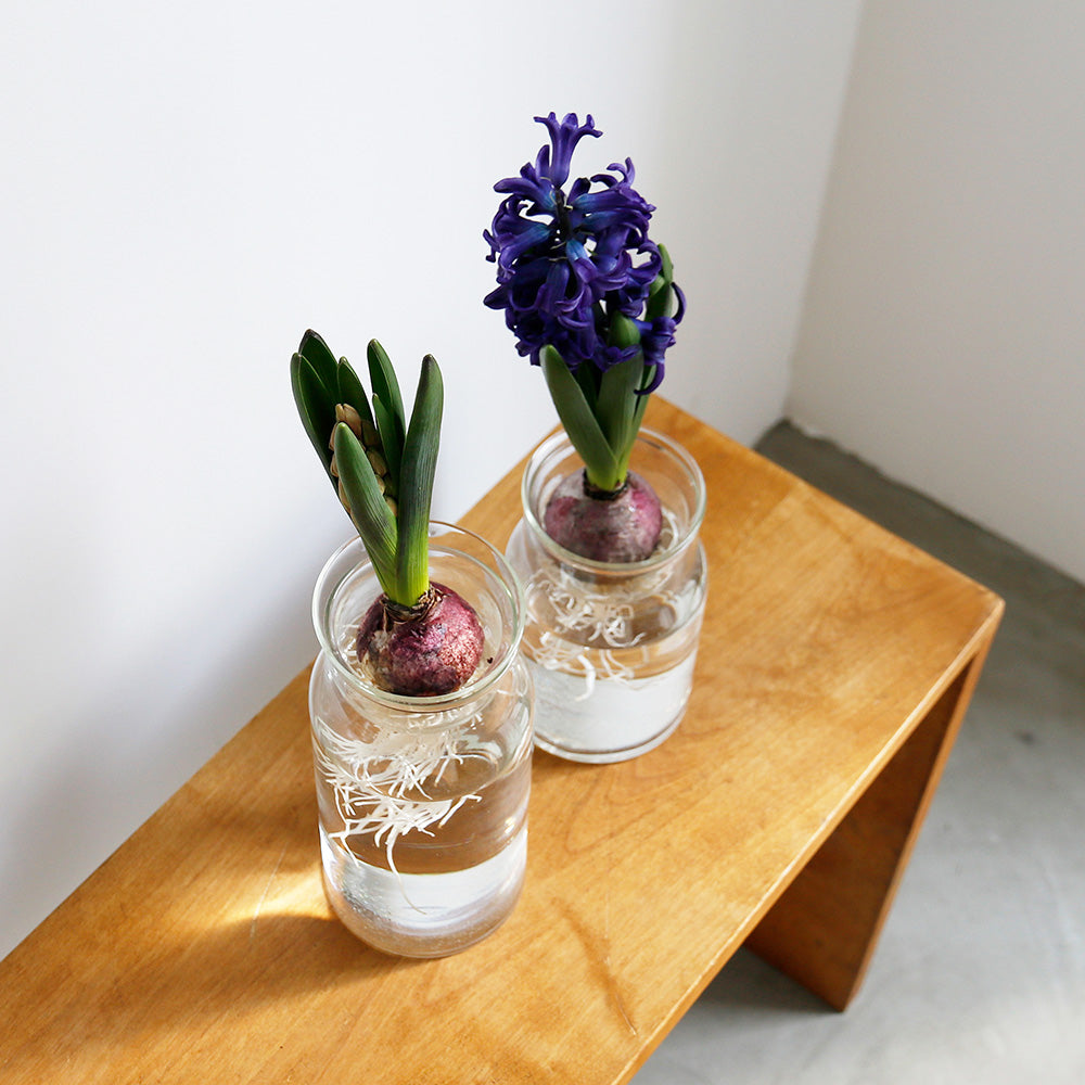 リューズガラス バルブボトル