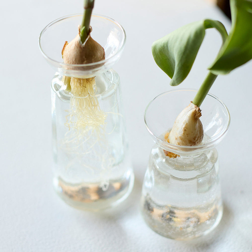 リューズガラス バルブボトル ロリエフ