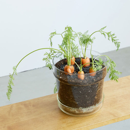 リューズガラス フラワーポット テーパー