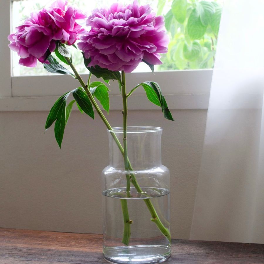 リューズガラス フラワーベース ネック